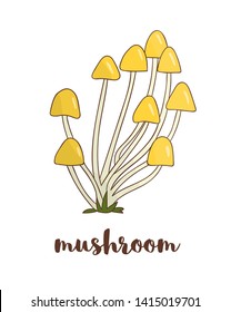 Vector colored mushroom icon. Food elements in cartoon style.
