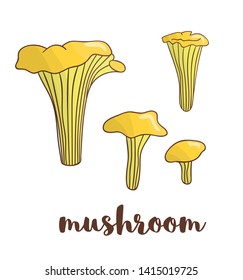 Vector colored mushroom icon. Food elements in cartoon style.
