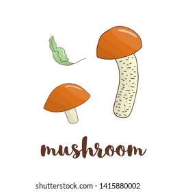 Vector colored mushroom icon. Food elements in cartoon style.
