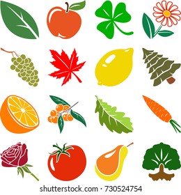 Vector colored nature icons on white background.