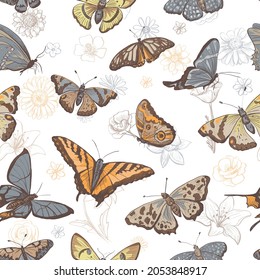 Vector colored pattern with butterflies and flowers