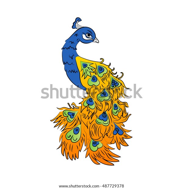 Vector Colored Peacock On White Background Stock Vector Royalty Free 487729378 Shutterstock 