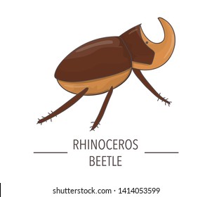 Vector colored rhinoceros beetle icon isolated on white background. Colored cartoon style insect illustration. Bug logo 
