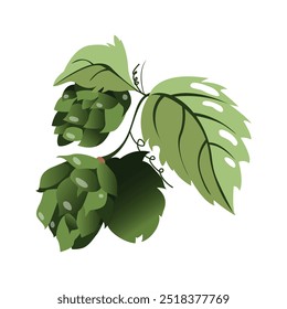 Icono de conos de lúpulo verde maduro de color Vector. Símbolo de cerveza, pub y bebida alcohólica. Clip-impresión del arte para el empaquetado, menú, letrero, escaparate. Aislado en el fondo blanco