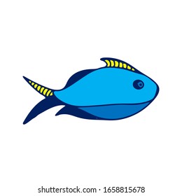 Vector colored sea fish llustration on white background. Doodle sketch cartoon underwater worlds isolated object for panorama, print, shirt, kid, baby, swimming pool, game, app and stickers.