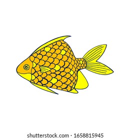 Depuración de peces marinos coloreados por vectores sobre fondo blanco. Dibujo Doodle dibuja mundos submarinos objeto aislado para panorama, impresión, pantalones, niño, bebé, piscina, juego, aplicación y emoticones.