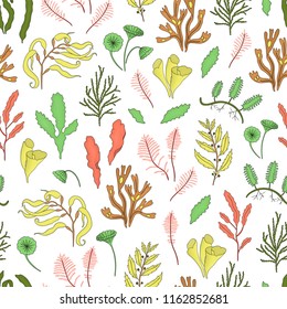 Vector colored seamless pattern of seaweeds. Colorful repeating background with laminaria, focus, macrocystis,sargassum, padina, dasya, porphyra, phyllophora, cladophora, ulva, acetabularia