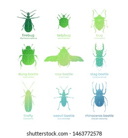 Vector colored set of bugs and beetles in low poly style. Isolated illustration on white background. Firebug, ladybug, bug, dung-beetle, rose beetle, stag beetle, firefly, weevil, rhinoceros beetle