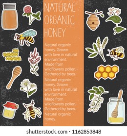Vector colored set of honey elements. Natural organic honey vector banner. Colorful honey stickers collection isolated on textured background