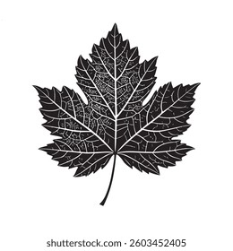 Vector colored silhouette of a leaf plant isolated on a white background for a nature themed design. 