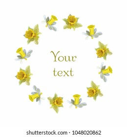 vector colored spring card with a wreath of daffodils