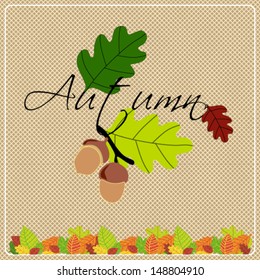 Vector colorfu autumn leaves background illustration