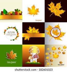 Vector colorfu autumn leaves background illustration