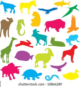 vector colorful animals