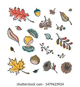 Vector Colorful Autumn Harvest Symbols. Hand Drawn Doodle Different Tree Leaves, Chestnuts, Rowan, Flowers and Berries. Happy Thanksgiving Day Greeting Card Template
