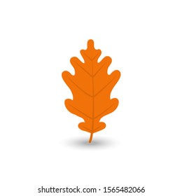 Vector colorful autumn leaf in flat style isolated on a white background.Botanical collection