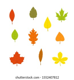 Vector Colorful Autumn Leaf Icon Set In Flat Style Isolated On A White Background.Botanical Collection