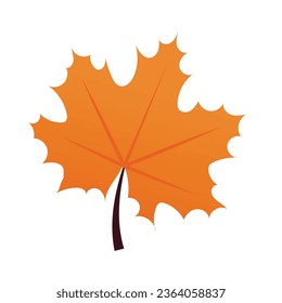 Vector colorful autumn maple leaf isolated on white background