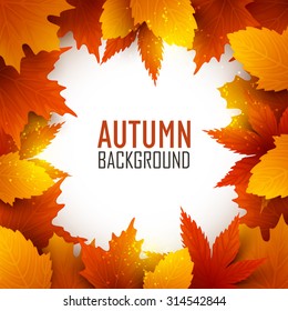 Vector colorful background with autumn  leaves.