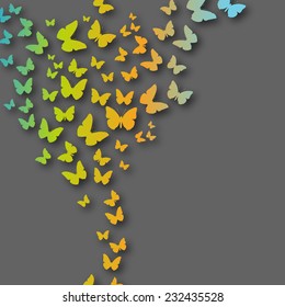 Vector colorful background with butterfly