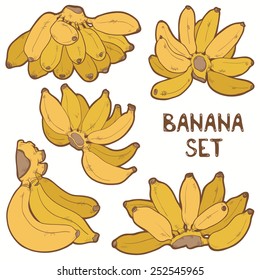 Vector colorful banana set