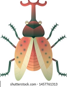 vector of colorful beetle with symmetry form.