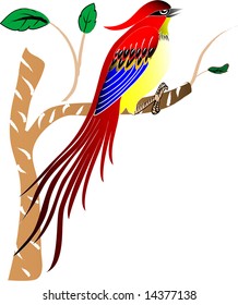 Vector colorful bird