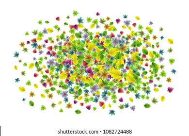 Vector colorful botanical garden fresh leaves background design element