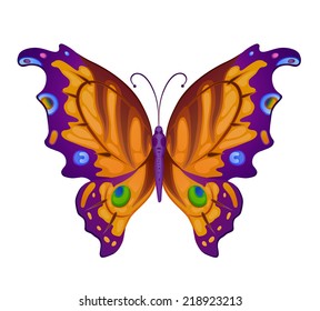 Butterfly Bright Vector Full Color Illustration Stock Vector (Royalty ...