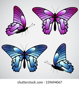 Vector colorful butterflies