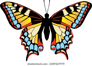 Vector colorful butterfly. A beautiful insect with large colored wings. Drawing of a flying beetle.
