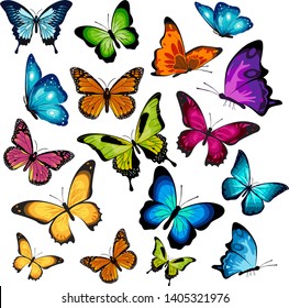 VECTOR COLORFUL BUTTERFLY WINGS ILLUSTRATION