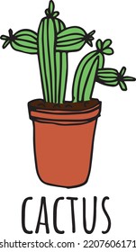 Vector colorful cactus illustration poster