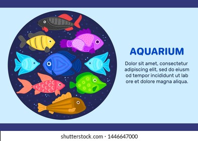 Vector colorful cartoon fish in circular shape. Undersea world. Aquarium. Cute marine life. Pisces. Brochure, flyer, label, cover, poster, banner, package, presentation, landing psge. Eps10