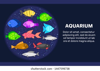 Vector colorful cartoon fish in circular shape. Undersea world. Aquarium. Cute marine life. Pisces. Brochure, flyer, label, cover, poster, banner, package, presentation, landing psge. Eps10
