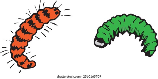 vector colorful caterpillar animal illustration	