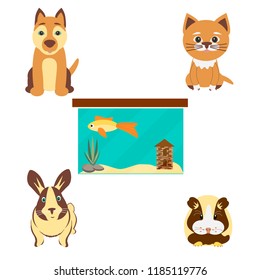 Vector colorful collection of domestic mammals, set of pets  icon. Cat, dog, rabbit, guinea pig and aquarium isolated on white background. Pet shop concept.