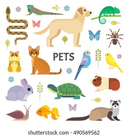 Vector colorful collection of domestic mammals, rodents, insects, birds, reptiles, including dog, cat, rabbit, tortoise, ferret, parrot, snake, guinea pig, chameleon, hamster, tarantula and a canary.
