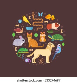 Vector colorful collection of pets, including dog, cat, rabbit, tortoise, parrot, snake, guinea pig, chameleon, hamster, tarantula and canary arranged in a circle, isolated on dark background.