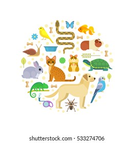 Vector colorful collection of pets, including dog, cat, rabbit, tortoise, parrot, snake, guinea pig, chameleon, hamster, tarantula and canary arranged in a circle, isolated on white.