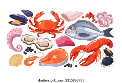 Vector colorful collection of seafood 