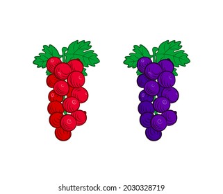 Ilustración Vector Colorful Currant, conjunto de ícono aislado en fondo blanco, bayas rojas y azules con hojas.