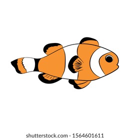 Vector colorful cute tropical clownfish.