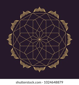 Vector colorful design abstract mandala sacred geometry illustration Seed Flower of life lotus isolated dark brown background.