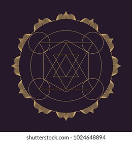 Vector colorful design abstract mandala sacred geometry illustration Seed Flower of life lotus isolated dark brown background.