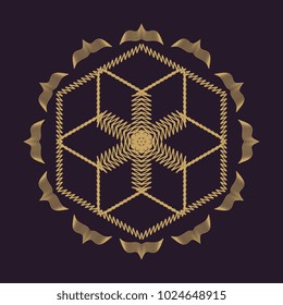 Vector colorful design abstract mandala sacred geometry illustration Seed Flower of life lotus isolated dark brown background.