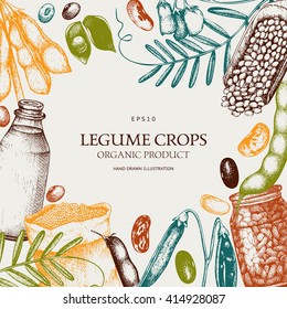 Diseño de color vectorial con bocetos de legumbres dibujadas a mano. Ilustración vintage con legumbres y productos de legumbres. Planta de alimentos frescos y orgánicos de granja.