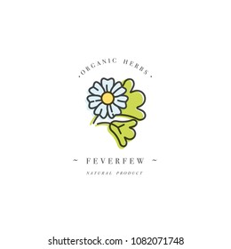 Vector colorful design template logo and emblem healthy herb- feverfew. Logo in trendy linear style isolated on white background