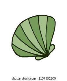 Vector colorful doodle hand drawn sea shell isolated on white background.