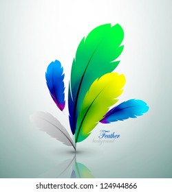 Vector colorful feather design